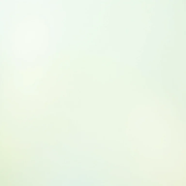 Produtos de limpeza organizados em flat lay